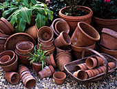 Terracotta plant pots