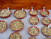 Storing seeds over winter