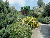 Plantsman's Garden