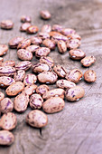 Snap bean seeds