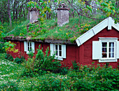 Grass roof on house