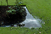 Waterlogged garden
