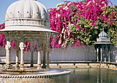 Garden of the Maids of Honour,India