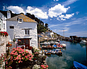 Cottages by a harbour