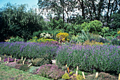 Herb garden