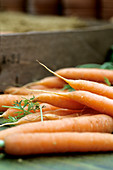 Harvested carrots