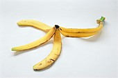 Banana skin 28