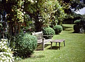 Bench and table on a lawn