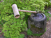 Bamboo water feature