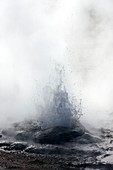 Geyser erupting