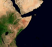 East Africa and Middle East