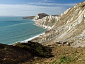 Chalk cliffs,Dorset