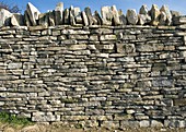 Dry stone wall,Dorset