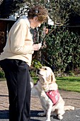Deaf woman and her hearing dog