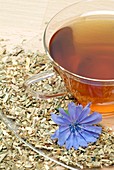 Chicory herbal tea