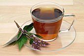 Mint hyssop herbal tea