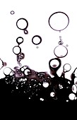 Gas bubbles in oil