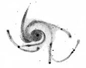 Pinwheel Galaxy,19th century artwork