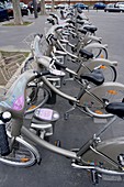 Rental bicycles,Paris