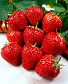 Strawberries (Fragaria 'Alice')