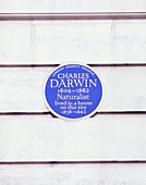 Charles Darwin commemorative plaque