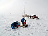 Antarctic surveying