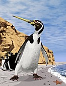 Giant extinct penguin,artwork