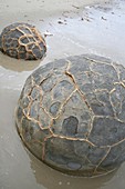 Moeraki boulders,New Zealand