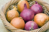 White and red onions