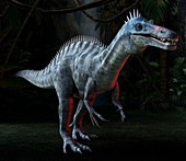 Suchomimus dinosaur,artwork