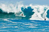 Surfing giant waves,Reunion Island