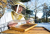 Honey bee health research