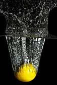 Lemon impacting water,high-speed image
