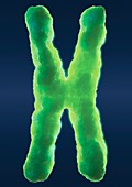 Chromosome,artwork
