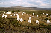 Allen Telescope Array