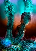 Hydrothermal vents,artwork
