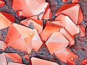 Iron pyrite crystal,SEM