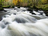 River Teign in autumn,Devon