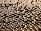 Rippled sand in regular pattern
