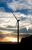 Wind turbine at dusk