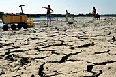 Drought along the Meuse River