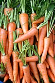 Stack of orange carrots