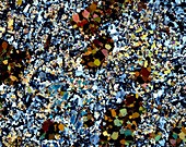 Amphibole mineral,light micrograph