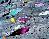 Olivine flakes,light micrograph