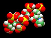 Anticoagulant molecule