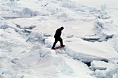 Walking across Arctic ice