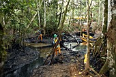 Oil spill damage control in a rainforest