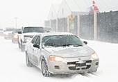 Cars in a blizzard