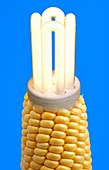 Biofuel light bulb,comcept