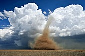 Landspout tornado